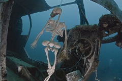 The last guy to dive here